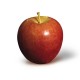 Braeburn Semi-dwarfing