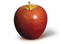 Braeburn Semi-dwarfing