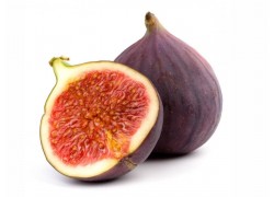 Brown Turkey Fig