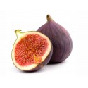 Brown Turkey Fig