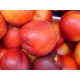 Red Gold Nectarine