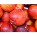 Red Gold Nectarine