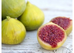 preston prolific fig