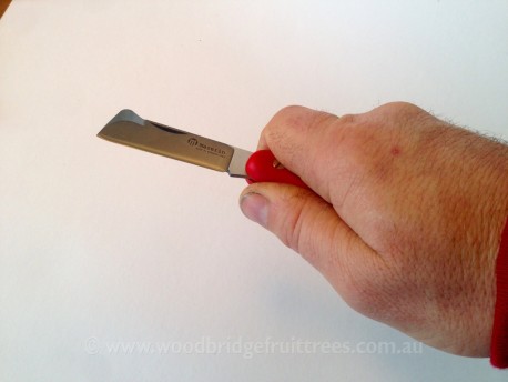 Maserin Grafting knife red handle