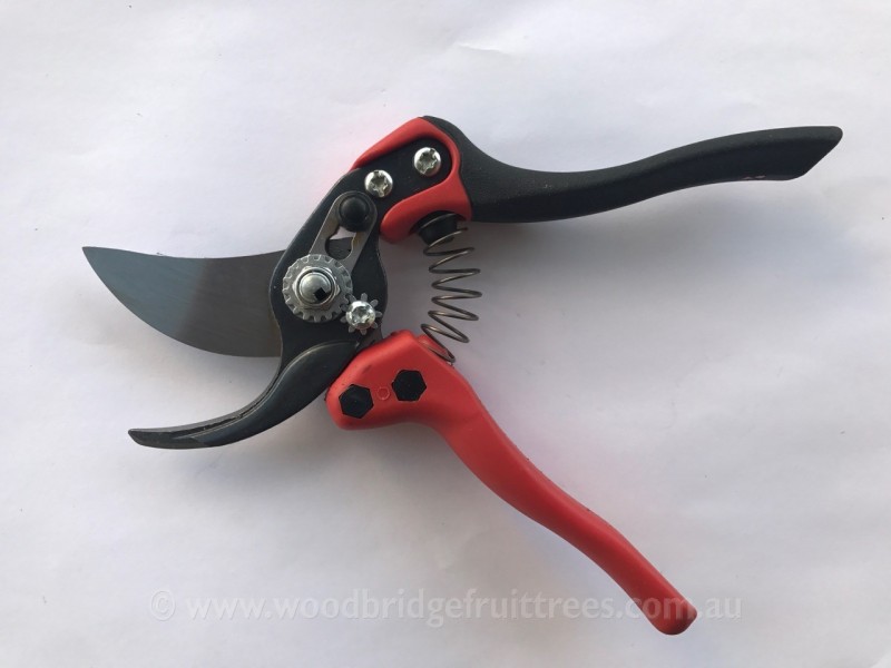  Bahco Garden Shears Pneumatic secateur 9210, Gray : Tools &  Home Improvement