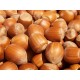 Barcelona Hazelnut