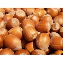 Barcelona Hazelnut