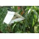 Codling Moth Pheromone Trap with refils