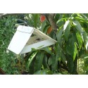 Codling Moth Pheromone Trap with refills