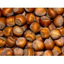 Wanliss Pride (american White) Hazelnut