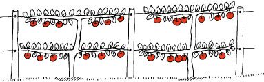 After about five years things should look a bit like this using a 2 wire system.